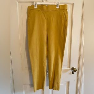 Goldenrod yellow slacks